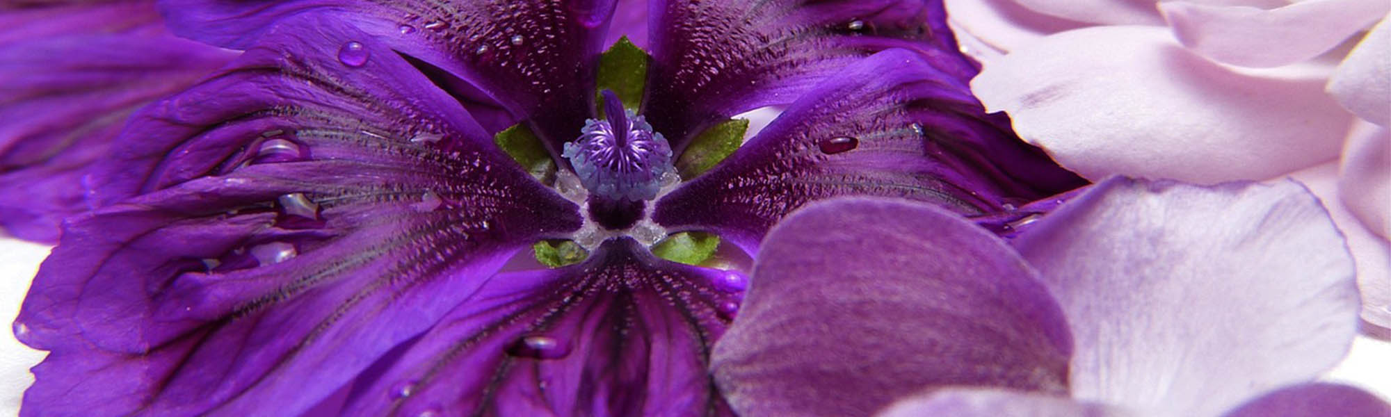 header3